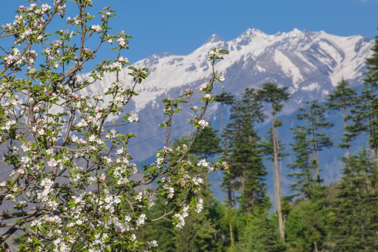 Nature Lover'S Paradise-Tirthan Valley Jibhi エクステリア 写真