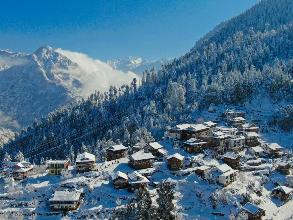 Nature Lover'S Paradise-Tirthan Valley Jibhi エクステリア 写真