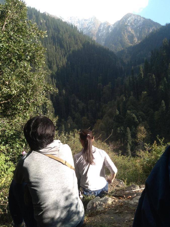 Nature Lover'S Paradise-Tirthan Valley Jibhi エクステリア 写真