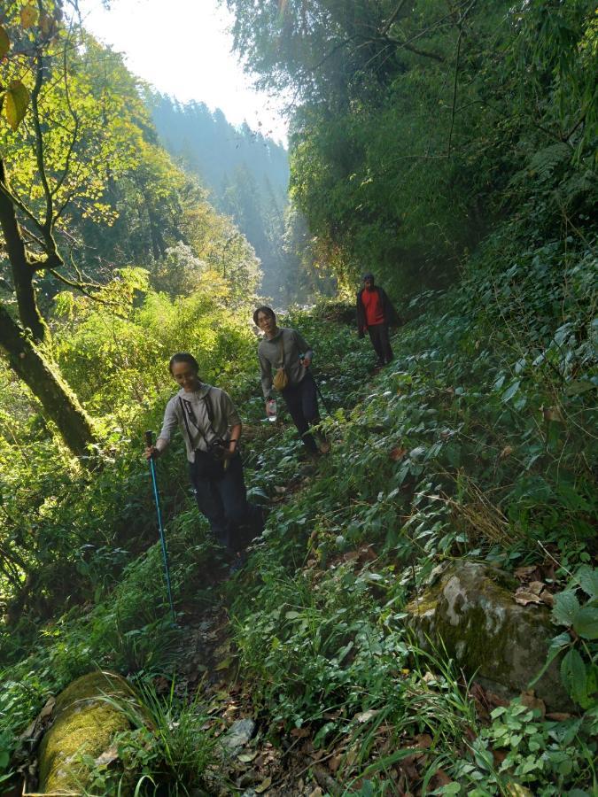 Nature Lover'S Paradise-Tirthan Valley Jibhi エクステリア 写真